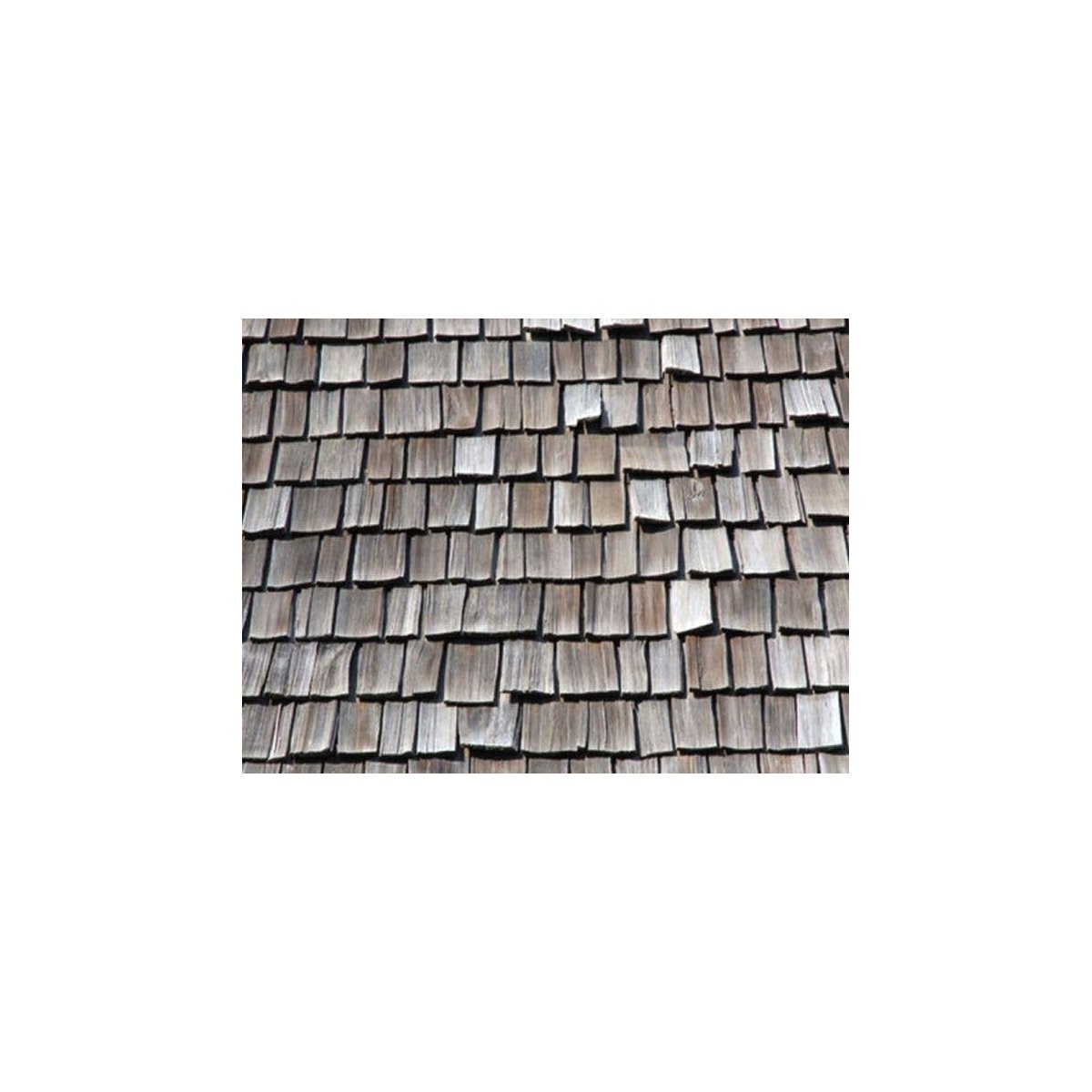 Patterned Plastic Sheet 2-Pack -- Wood Shingle Roof 7-1/2 x 12′ 19.1 x 30.5cm, O, JTT Miniature Tree 97469