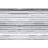 Patterned Plastic Sheet 2-Pack -- Ribbed Roofing 7-1/2 x 12′ 19.1 x 30.5cm, HO, JTT Miniature Tree 97407