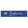 40′ Corrugated Container 2-Pack - Assembled -- Safmarine (blue, white, red)