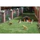 Playing Fetch with Dogs - Action Set -- 2 Dogs, 1 Throwing Figure, HO Busch Gmbh & Co Kg 7896