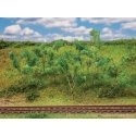 Forest Edge Trees & Bushes, All Scales, Faller Gmbh 181409