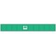 Decorated Plate Girder Bridge w/Code 100 Track -- Kit - Penn Central (jade green, white), HO Atlas Model Railroad Co. 70000034