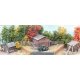 The Shack Pack -- Kit - 3 Different Shacks, HO Bar Mills LLC 992