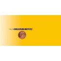 LED w/Wires & Resistor -- Yellow, 1/16 x 1/32′ 1.6 x .8mm pkg(5), All Scales, Viessmann Modellspielwaren 5270