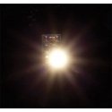 LEDs on Self-Adhesive PC Board Base -- Warm White 12-16V AC or DC, PC Board Base pkg(5), All Scales, Faller Gmbh 180653