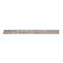 Straight Track -- 47-3/16′ 120cm, G LGB 10610