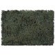 Flock & Turf - Scenic Foams & Ground Textures - Blended Tones - 64 Ounces -- Swampy Bog Blend, All Scales, Scenic Express 887C