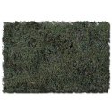 Flock & Turf - Scenic Foams & Ground Textures - Blended Tones - 64 Ounces -- Swampy Bog Blend, All Scales, Scenic Express 887C