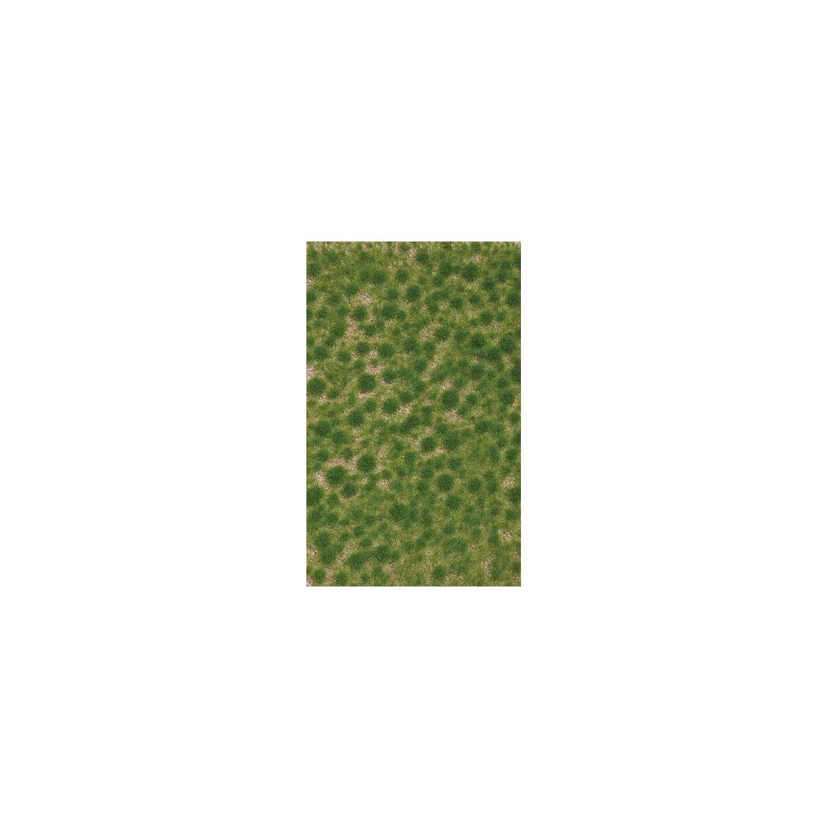 Grass Tuft Sheet -- Short Spring Tufts - 1/16` .2cm Tall, 5-7/16 x 3-7/16` 13.8 x 8.8cm, All Scales, Busch Gmbh & Co Kg 3511