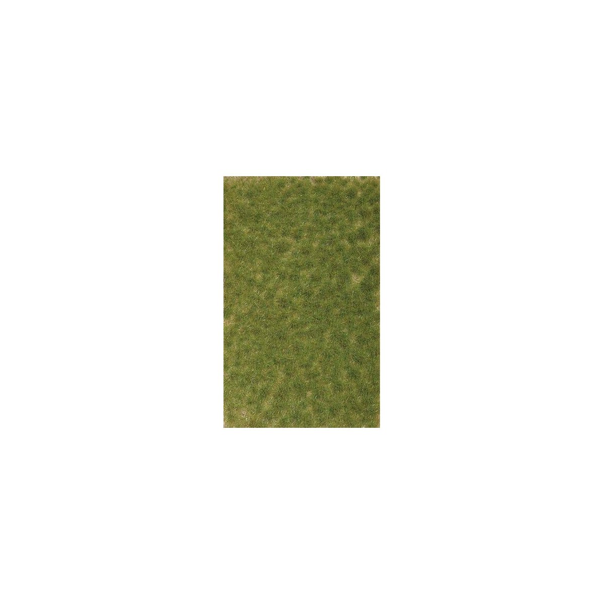 Grass Tuft Sheet -- 2-Color Spring Tufts 3/16` .4cm Tall, 5-7/16 x 3-7/16` 13.8 x 8.8cm, All Scales, Busch Gmbh & Co Kg 3531