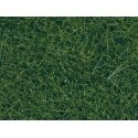 Static Wild Grass - 1.8oz 50g 3/8′ .9cm fibers -- Dark Green, All Scales, Noch Gmbh & Co 7120