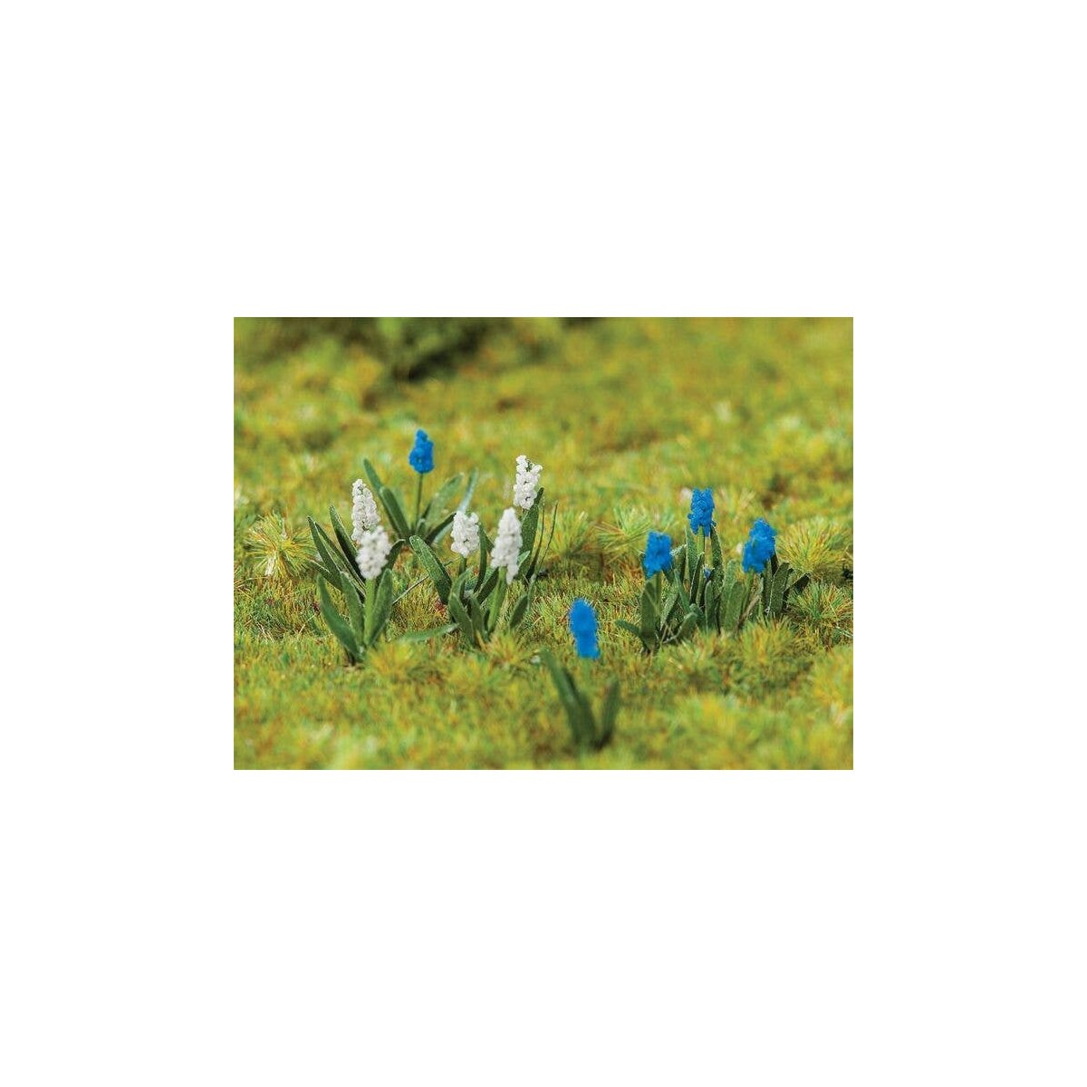 Grape Hyacinth -- pkg(32), HO, Faller Gmbh 181265