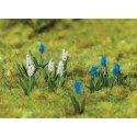 Grape Hyacinth -- pkg(32), HO, Faller Gmbh 181265