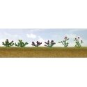 Assorted Flower Plants -- Set 1 pkg(10), O, JTT Miniature Tree 95558
