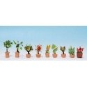 Ornamental Plants in Flower Pots -- Set 2 pkg(9), N, Noch Gmbh & Co 14082