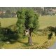 Tree with Tree House - Assembled -- 5-15/16′ 15cm Tall, N, Noch Gmbh & Co 21766