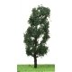 Spruce Trees - Pro Elite -- 8′ 20.3cm, O, JTT Miniature Tree 92417