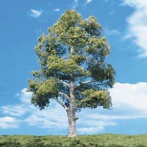 Woodland Classic Trees(R) Ready Made - Waters Edge -- 3/4 to 1-1/4′ 1.9 to 3.2cm Tall p, All Scales, Woodland Scenics 3531