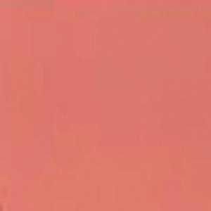 Water-Based Acrylic Paint - 1oz 29.6ml -- MMP-135 Coral CH 1955/626, All Scales, Mission Models 135