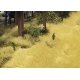 Thinning Grass Pad - 11-11/16 x 8-1/4′ 29.7 x 21cm -- Dry Grass, HO Busch Gmbh & Co Kg 1301