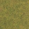 Thinning Grass Pad - 11-11/16 x 8-1/4′ 29.7 x 21cm -- Spring Grass, HO Busch Gmbh & Co Kg 1302