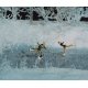 Glittery Snow Powder -- 200g, HO, Busch Gmbh & Co Kg 7170