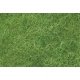 SceneScapes(TM) Foliage Fiber -- Light Green, ALL Bachmann Industries 32631