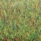 Large Grass Mat - 39-3/8 x 31-1/2′ 100 x 80cm -- Spring, ALL Busch Gmbh & Co Kg 7221