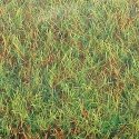Large Grass Mat - 39-3/8 x 31-1/2′ 100 x 80cm -- Spring, ALL, Busch Gmbh & Co Kg 7221