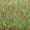 Large Grass Mat - 39-3/8 x 31-1/2′ 100 x 80cm -- Spring, ALL Busch Gmbh & Co Kg 7221