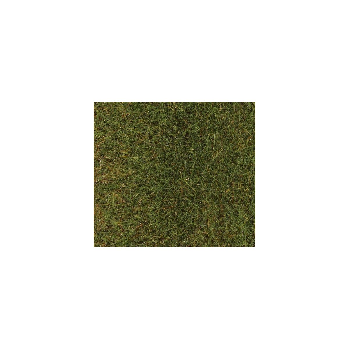 Static Grass - Premium - 2.8oz 80g -- Spring Meadow, ALL Faller Gmbh 170771