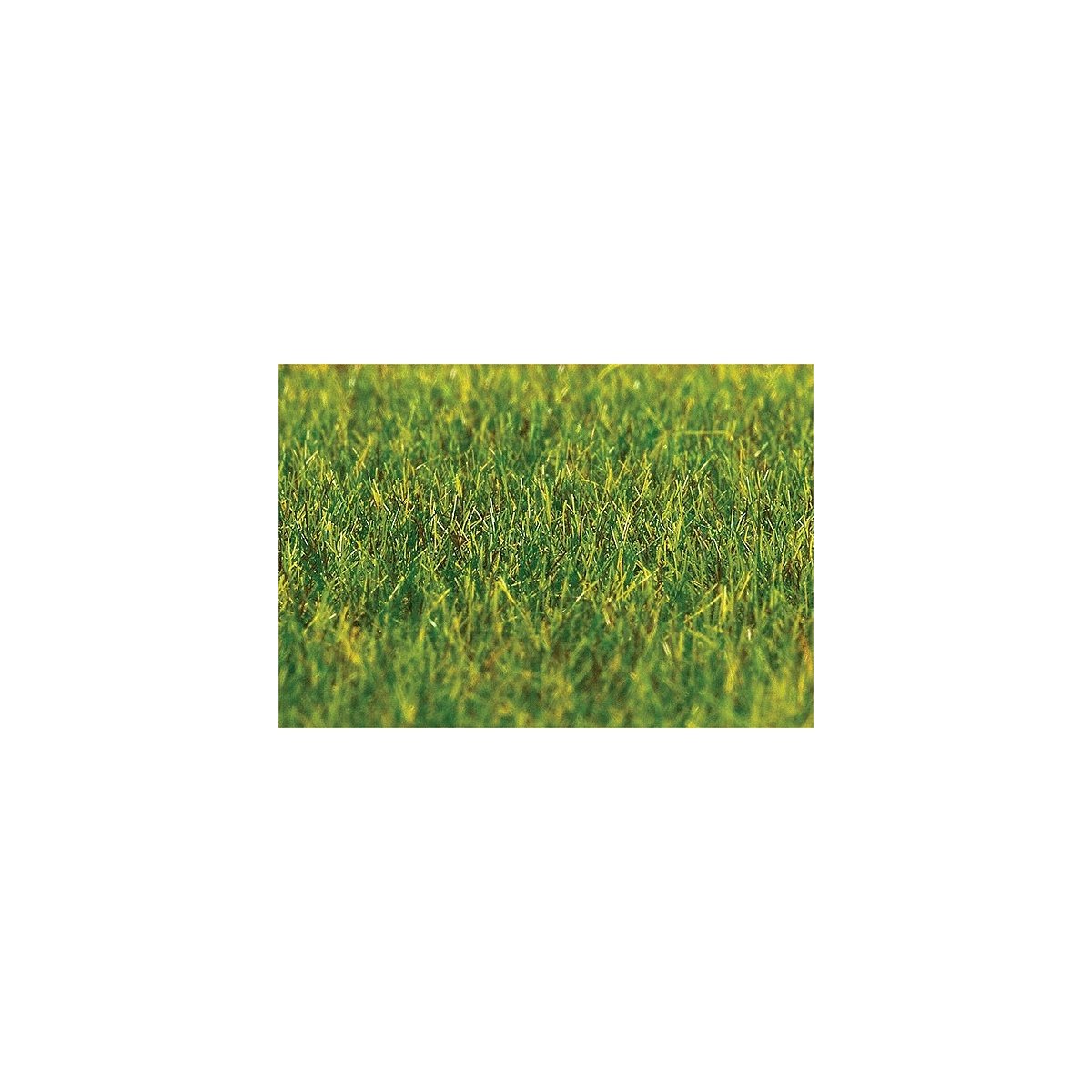 Static Grass 1.06oz 30g -- Green Grass 1/4′ .6cm Fibers, ALL Faller Gmbh 180485