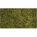 Wild Grass Pad - 11 x 5-1/2′ 27.4 x 14cm -- Pasture Green, ALL Heki/Mini Forest 1576