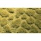 Tuftgrass(R) Pad - 17-1/2 x 6-1/2′ 44.5 x 16.5cm -- Savannah, ALL Heki/Mini Forest 1840