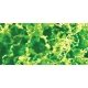 Foliage Fiber Cluster -- Fine Light Green 150 Square Inches, ALL JTT Miniature Tree 95064