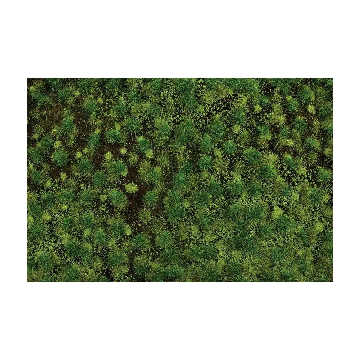 Tufted Grass Sheet/Mat - SceneScapes(R) -- Medium Green 3/16′ .5cm Tall Fibers, 11-3/4 x 7-1/2′ 29.8 x 19.1cm Sheet, ALL Bac