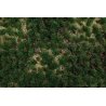 Tufted Grass Sheet/Mat - SceneScapes(R) -- Western Range 3/16′ .5cm Tall Fibers, 11-3/4 x 7-1/2′ 29.8 x 19.1cm Shee, ALL Bac