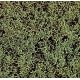 Foam Scatter Material-Fine -- Medium Green, ALL Busch Gmbh & Co Kg 7312