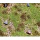 Premium Countryside Segment -- Meadow with Boulders 8-1/4 x 5-7/8 x 3/8′ 21 x 14.8 x 1cm, ALL Faller Gmbh 180476