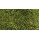 Wild Grass Pad - 11 x 5-1/2′ 27.4 x 14cm -- Moorland Green, ALL Heki/Mini Forest 1573