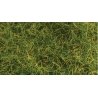 Wild Grass Pad - 11 x 5-1/2′ 27.4 x 14cm -- Moorland Green, ALL Heki/Mini Forest 1573
