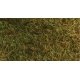 Wild Grass Pad - 11 x 5-1/2′ 27.4 x 14cm -- Savannah Green, ALL Heki/Mini Forest 1574