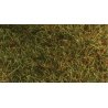 Wild Grass Pad - 11 x 5-1/2′ 27.4 x 14cm -- Savannah Green, ALL Heki/Mini Forest 1574