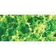 Foliage Fiber Cluster -- Coarse Light Green 150 Square Inches, ALL JTT Miniature Tree 95057