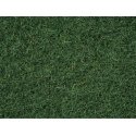 Static Grass - 3-1/2oz 100g -- Dark Green, ALL, Noch Gmbh & Co 50200