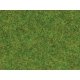 Static Grass - 3-1/2oz 100g -- Spring Green, HO Noch Gmbh & Co 50210