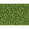 Static Grass - 3-1/2oz 100g -- Spring Green, HO Noch Gmbh & Co 50210
