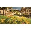 Flowers /250, HO, Noch Gmbh & Co 6800