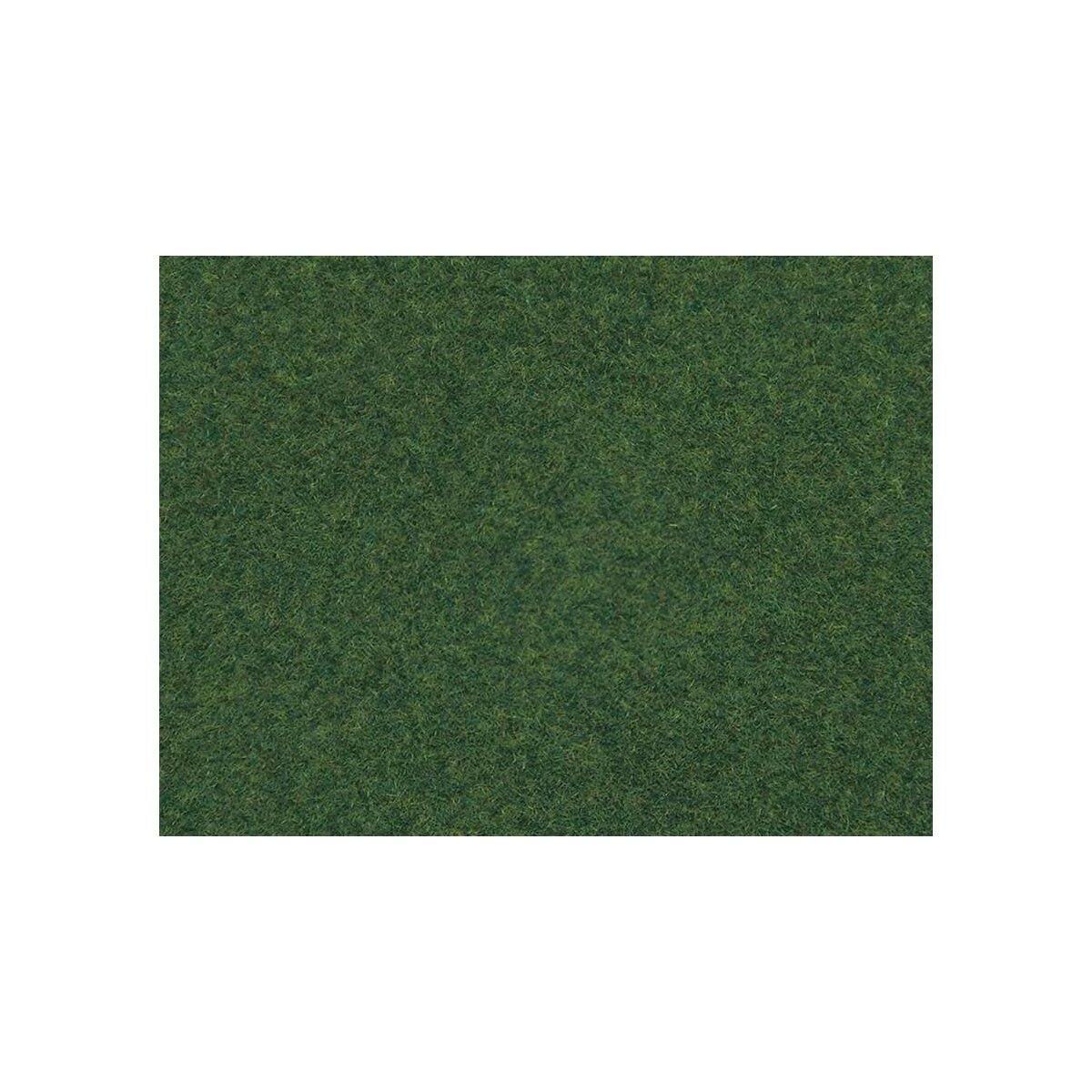 Wild Grass with 1/4′ 6mm Fibers -- Medium Green, 1-3/4oz 50g, ALL Noch Gmbh & Co 7081