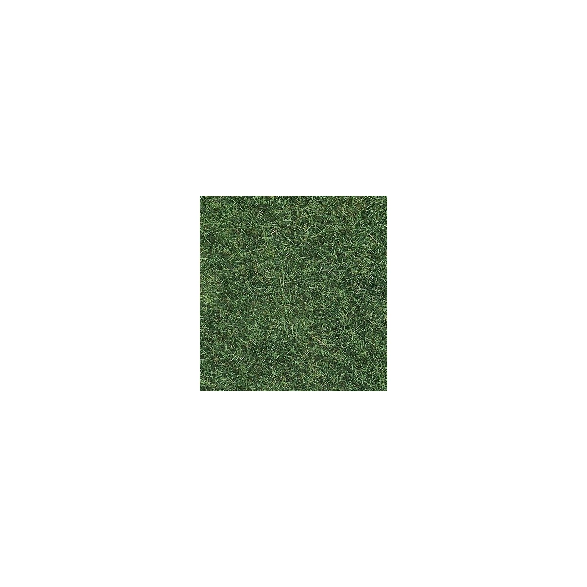 Wild Grass - 1-3/4oz 50g -- Light Green, ALL Noch Gmbh & Co 7102